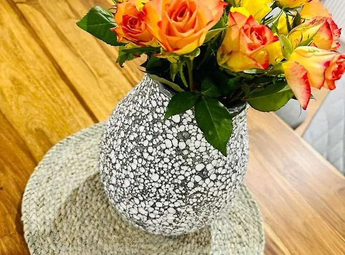 Reichenstrasse Semesterbostad *